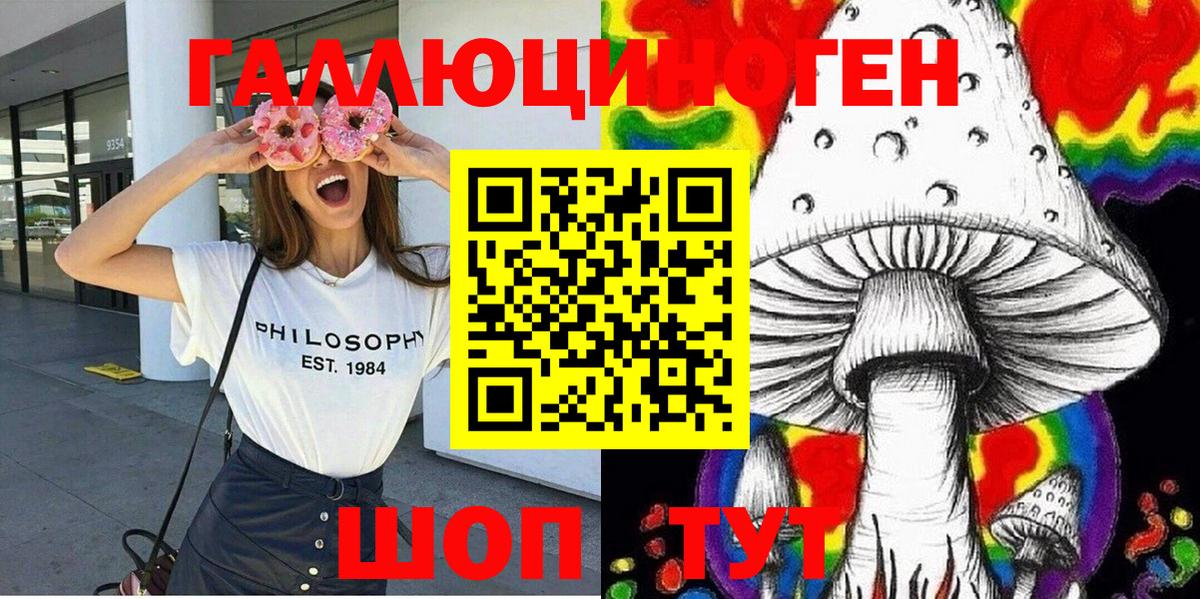 Новосибирск  Псилоцибиновые грибы мухоморы  Галлюциногенные грибы Magic Shrooms  купить закладку  Вход с VPN 